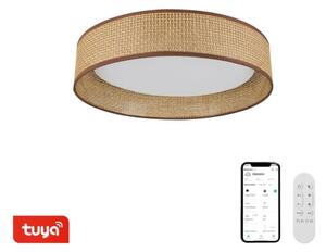 Immax NEO 07288L - LED+CCT stmievateľné stropné svietidlo LONA 36W/230V pr. 45,5 cm+ DO