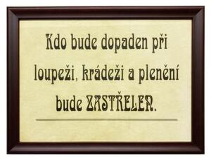 Cedule | Kdo bude dopaden při loupeži (různé rámy)