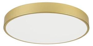 Immax NEO 07293L - LED+CCT stmievateľné stropné svietidlo SEMPLICI 60W/230V, priemer 60 cm + diaľkový ovládač