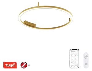 Immax NEO 07291-80G - LED+CCT stmievateľné stropné svietidlo FINO 55W/230V Tuya priemer 80 cm s diaľkovým ovládaním