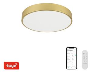 Immax NEO 07292L - LED+CCT stmievateľné stropné svietidlo SEMPLICI 36W/230V pr. 40 cm+DO