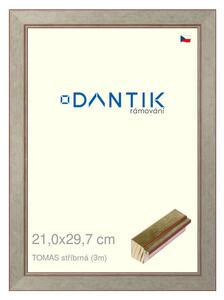 DANTIK rám na obraz 21x29,7 | TOMAS stříbrná (Sklo Čiré)