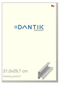 DANTIK rám na obraz 21x29,7 | ALU Stříbrná matná (Sklo Čiré)