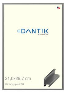 DANTIK rám na obraz 21x29,7 | ALU Ocelová (Sklo Čiré)
