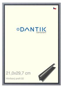 DANTIK rám na obraz 21x29,7 | ALU Platina matná (Sklo Čiré)