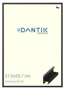 DANTIK rám na obraz 21x29,7 | ALU Dýha černá (Sklo Čiré)