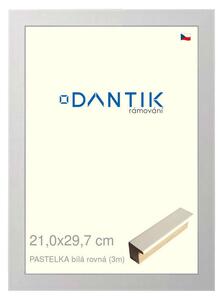DANTIK rám na obraz 21x29,7 | PASTELKA bílá rovná (Sklo Čiré)