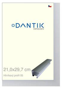 DANTIK rám na obraz 21x29,7 | ALU Stříbrná matná (Sklo Čiré)