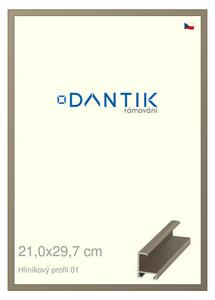DANTIK rám na obraz 21x29,7 | ALU champagne (Sklo Čiré)