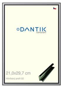 DANTIK rám na obraz 21x29,7 | ALU Šedá leská (Sklo Čiré)