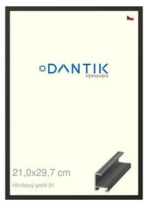 DANTIK rám na obraz 21x29,7 | ALU Černá matná (Sklo Čiré)