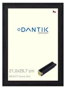 DANTIK rám na obraz 21x29,7 | BEAUTY černá (Sklo Čiré)