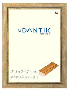 DANTIK rám na obraz 21x29,7 | ANDRE zlatá střední (Sklo Čiré)