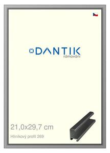 DANTIK rám na obraz 21x29,7 | ALU Šedá leská (Sklo Čiré)