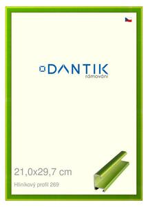 DANTIK rám na obraz 21x29,7 | ALU Zelená Smaragd broušená (Sklo Čiré)