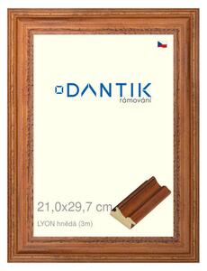 DANTIK rám na obraz 21x29,7 | LYON hnědá (Sklo Čiré)