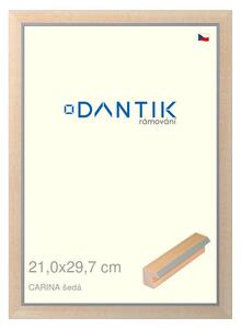 DANTIK rám na obraz 21x29,7 | CARINA šedá (Sklo Čiré)