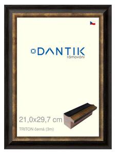 DANTIK rám na obraz 21x29,7 | TRITON černá (Sklo Čiré)