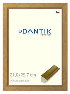 DANTIK rám na obraz 21x29,7 | TOMAS zlatá (Sklo Čiré)