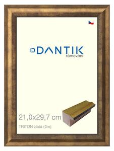 DANTIK rám na obraz 21x29,7 | TRITON zlatá (Sklo Čiré)