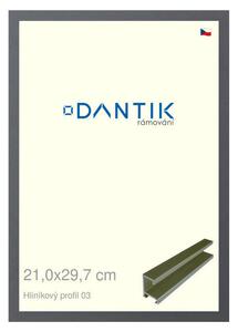 DANTIK rám na obraz 21x29,7 | ALU Platina matná (Sklo Čiré)