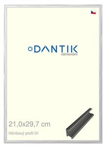 DANTIK rám na obraz 21x29,7 | ALU Stříbrná lesklá (Sklo Čiré)