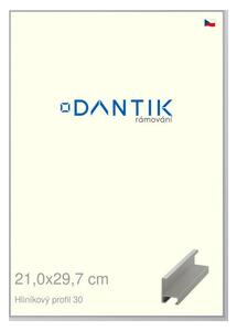 DANTIK rám na obraz 21x29,7 | ALU Stříbrná matná (Sklo Čiré)