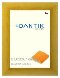 DANTIK rám na obraz 21x29,7 | LEDVINKA žlutá (Sklo Čiré)