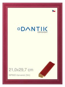 DANTIK rám na obraz 21x29,7 | NPINO červená (Sklo Čiré)