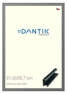 DANTIK rám na obraz 21x29,7 | ALU Platina matná (Sklo Čiré)
