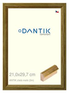 DANTIK rám na obraz 21x29,7 | ANTIK zlatá malá (Sklo Čiré)