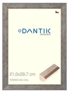 DANTIK rám na obraz 21x29,7 | TOMAS bílá (Sklo Čiré)