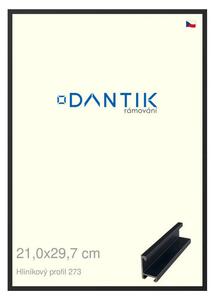 DANTIK rám na obraz 21x29,7 | ALU Černá matná (Sklo Čiré)