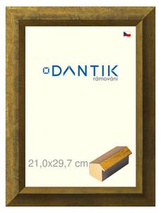 DANTIK rám na obraz 21x29,7 | Forgia Gold (Sklo Čiré)