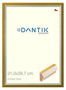 DANTIK rám na obraz 21x29,7 | EVOQUE žlutá (Sklo Čiré)