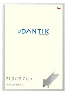 DANTIK rám na obraz 21x29,7 | ALU Stříbrná lesklá (Sklo Čiré)
