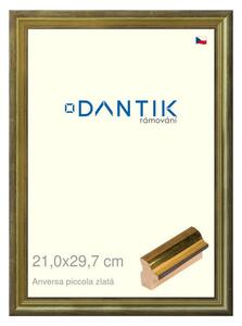 DANTIK rám na obraz 21x29,7 | ANIVERSA piccola zlatá (Sklo Čiré)