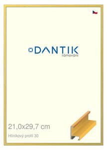 DANTIK rám na obraz 21x29,7 | ALU Dýha barevná žlutá (Sklo Čiré)