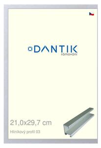 DANTIK rám na obraz 21x29,7 | ALU Stříbrná matná (Sklo Čiré)