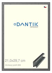 DANTIK rám na obraz 21x29,7 | ALU Ššedá broušená (Sklo Čiré)