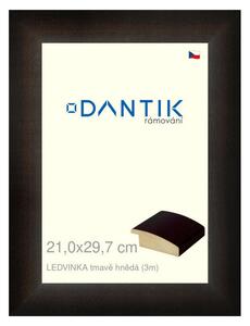 DANTIK rám na obraz 21x29,7 | LEDVINKA tmavě hnědá (Sklo Čiré)