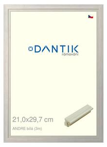 DANTIK rám na obraz 21x29,7 | ANDRE Bílá (Sklo Čiré)