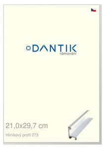 DANTIK rám na obraz 21x29,7 | ALU Bílá matná (Sklo Čiré)