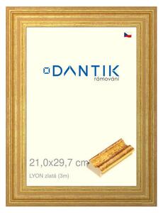 DANTIK rám na obraz 21x29,7 | LYON zlatá (Sklo Čiré)