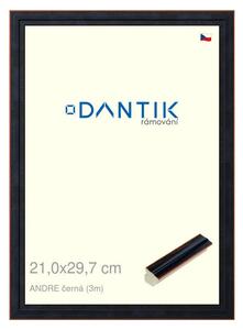 DANTIK rám na obraz 21x29,7 | ANDRE černá (Sklo Čiré)