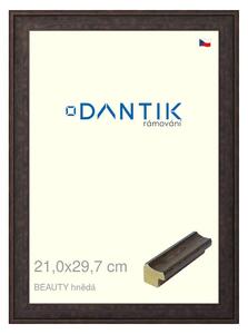DANTIK rám na obraz 21x29,7 | BEAUTY hnědá (Sklo Čiré)