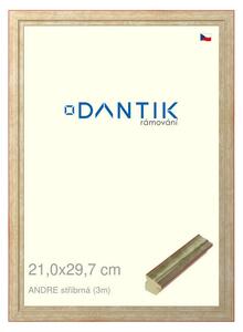 DANTIK rám na obraz 21x29,7 | ANDRE stříbrná (Sklo Čiré)