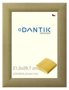 DANTIK rám na obraz 21x29,7 | LEDVINKA přírodní (Sklo Čiré)