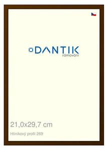 DANTIK rám na obraz 21x29,7 | ALU Hnědá umbra broušená (Sklo Čiré)