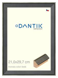 DANTIK rám na obraz 21x29,7 | INCLINATA colori šedá (Sklo Čiré)